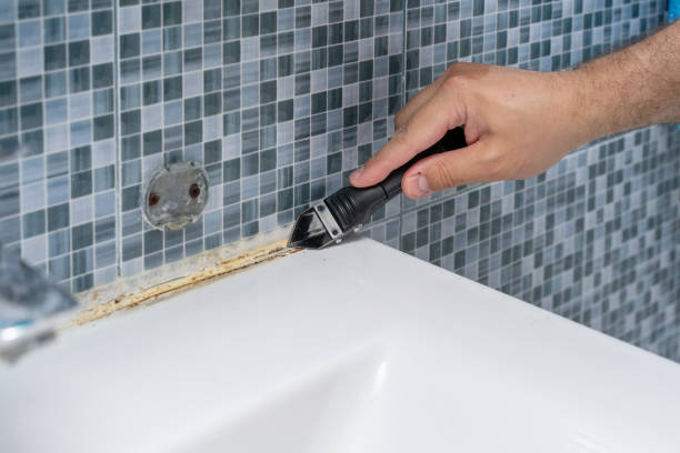 Best Emergency Mold Removal  in Baudette, MN